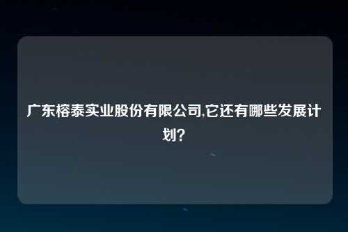 广东榕泰实业股份有限公司,它还有哪些发展计划？
