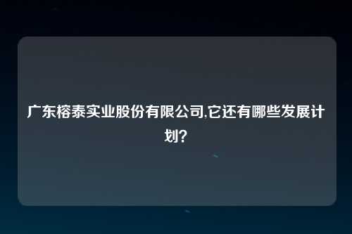 广东榕泰实业股份有限公司,它还有哪些发展计划？