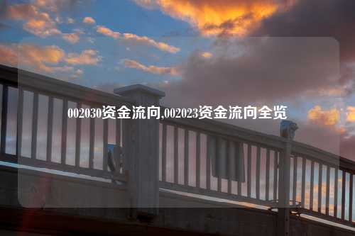 002030资金流向,002023资金流向全览