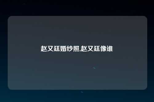 赵又廷婚纱照,赵又廷像谁