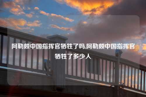 阿勒颇中国指挥官牺牲了吗,阿勒颇中国指挥官牺牲了多少人