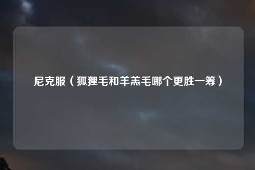 尼克服（狐狸毛和羊羔毛哪个更胜一筹）