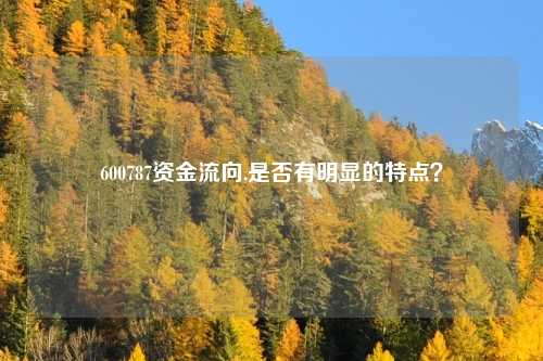 600787资金流向,是否有明显的特点？