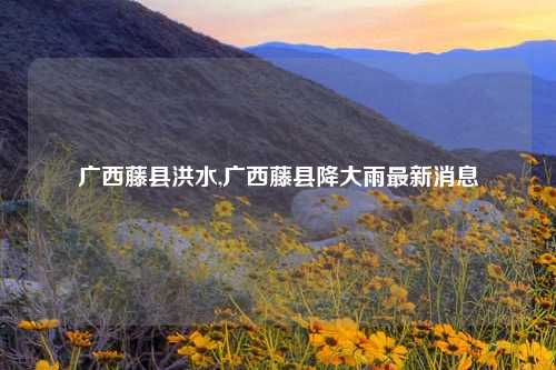 广西藤县洪水,广西藤县降大雨最新消息