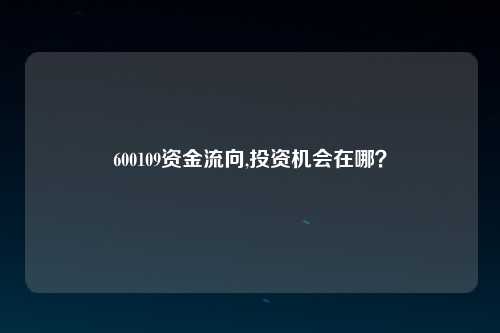 600109资金流向,投资机会在哪？