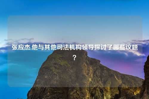 张应杰,他与其他司法机构领导探讨了哪些议题？