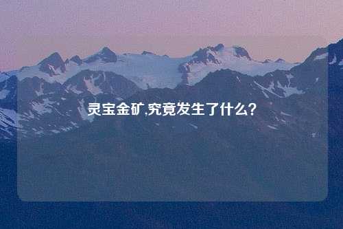 灵宝金矿,究竟发生了什么？