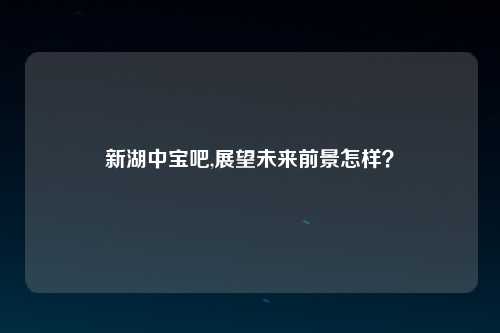 新湖中宝吧,展望未来前景怎样？