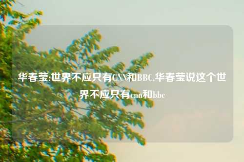 华春莹:世界不应只有CNN和BBC,华春莹说这个世界不应只有cnn和bbc