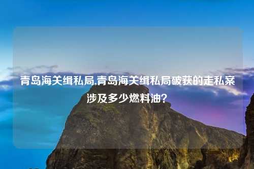 青岛海关缉私局,青岛海关缉私局破获的走私案涉及多少燃料油？