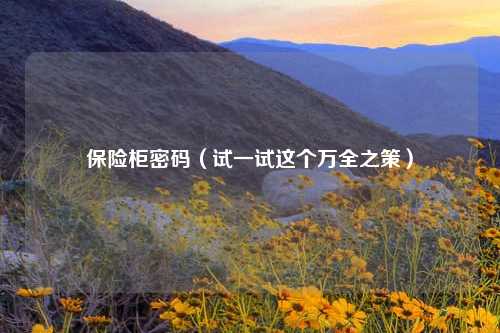 保险柜密码（试一试这个万全之策）