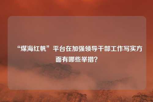 “煤海红帆”平台在加强领导干部工作写实方面有哪些举措？