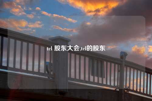 tcl 股东大会,tcl的股东
