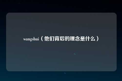 wangshui（他们背后的理念是什么）