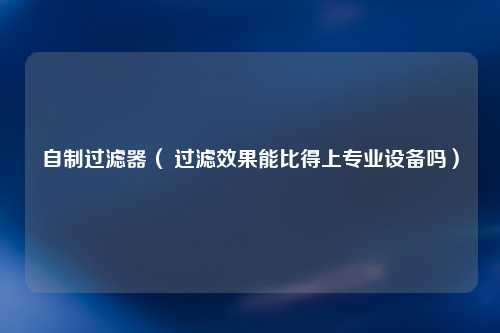 自制过滤器（ 过滤效果能比得上专业设备吗）