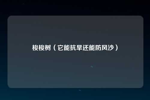梭梭树（它能抗旱还能防风沙）