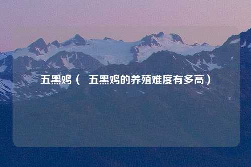 五黑鸡（  五黑鸡的养殖难度有多高）