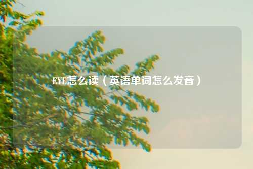始末吃瓜网友科普：者加羽念什么与汉字的奥秘探讨