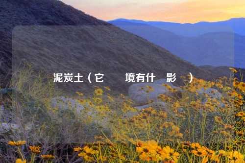 泥炭土（它對環境有什麼影響）