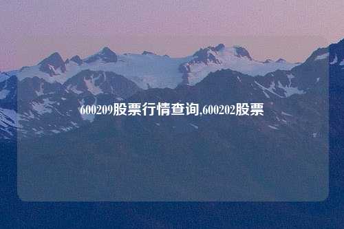 600209股票行情查询,600202股票