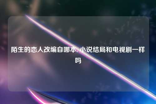 陌生的恋人改编自哪本, 小说结局和电视剧一样吗