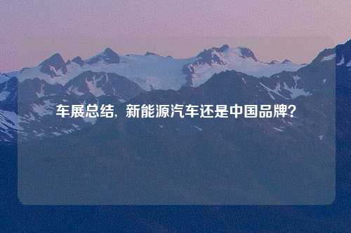 车展总结,  新能源汽车还是中国品牌？