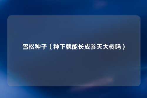 雪松种子（种下就能长成参天大树吗）