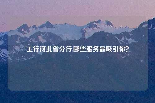 工行河北省分行,哪些服务最吸引你？