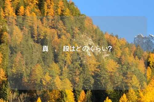 真榊,値段はどのくらい？