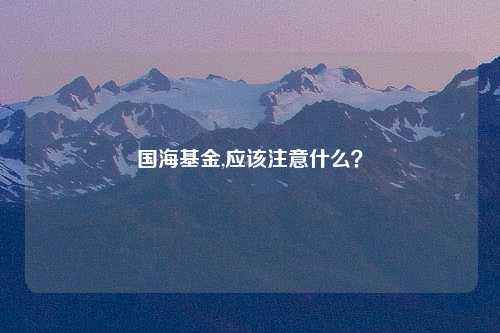 国海基金,应该注意什么？