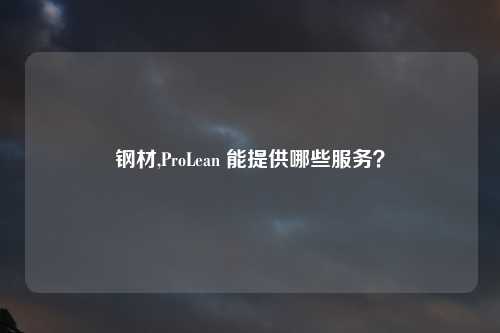 钢材,ProLean 能提供哪些服务？