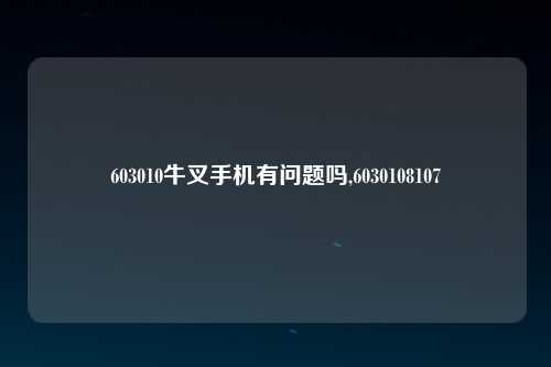 603010牛叉手机有问题吗,6030108107
