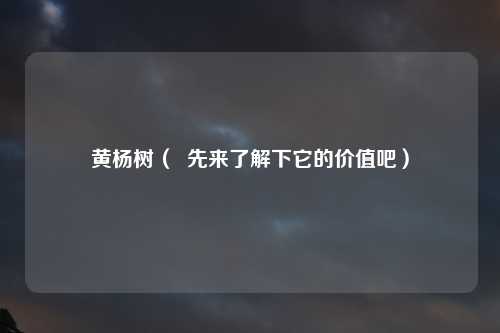 黄杨树（  先来了解下它的价值吧）