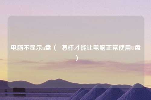 电脑不显示u盘（  怎样才能让电脑正常使用U盘）