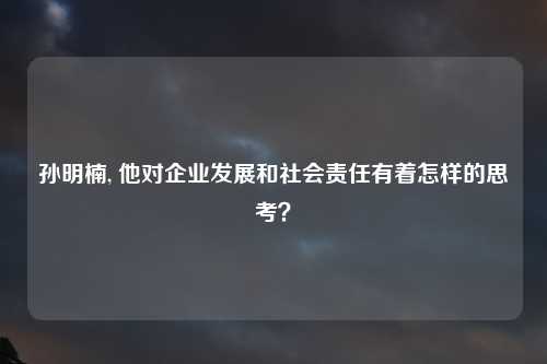 孙明楠, 他对企业发展和社会责任有着怎样的思考？