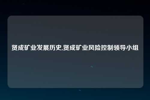 贤成矿业发展历史,贤成矿业风险控制领导小组