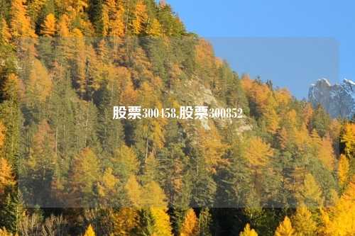 股票300458,股票300852