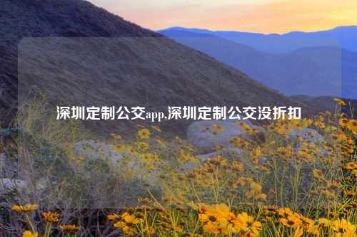 深圳定制公交app,深圳定制公交没折扣