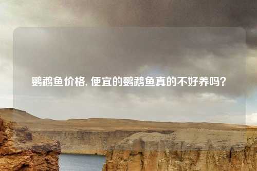 鹦鹉鱼价格, 便宜的鹦鹉鱼真的不好养吗？