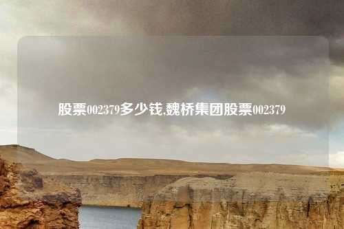 股票002379多少钱,魏桥集团股票002379