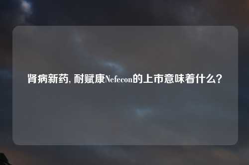 肾病新药, 耐赋康Nefecon的上市意味着什么？
