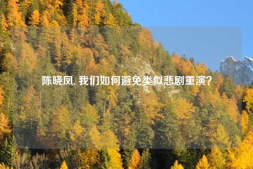 陈晓凤, 我们如何避免类似悲剧重演？
