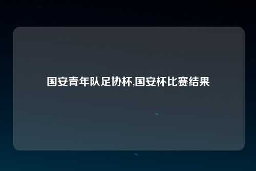 国安青年队足协杯,国安杯比赛结果