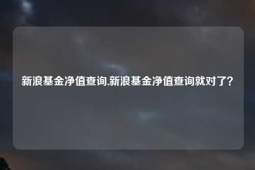 新浪基金净值查询,新浪基金净值查询就对了？