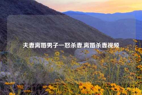 夫妻离婚男子一怒杀妻,离婚杀妻视频