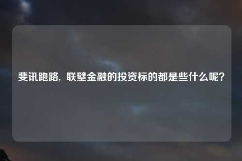 斐讯跑路,  联璧金融的投资标的都是些什么呢？