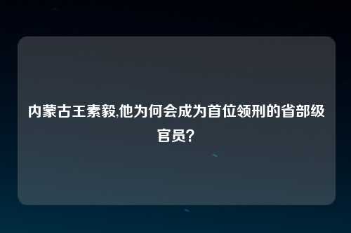 内蒙古王素毅,他为何会成为首位领刑的省部级官员？