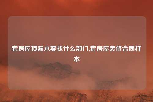 套房屋顶漏水要找什么部门,套房屋装修合同样本