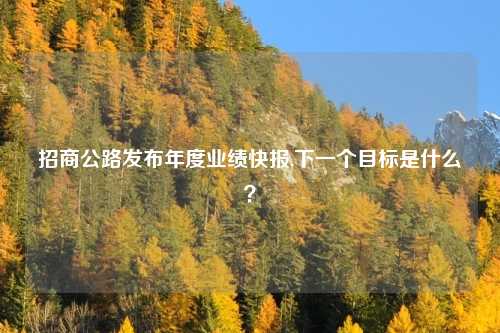 招商公路发布年度业绩快报,下一个目标是什么？