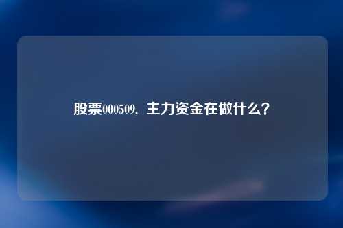 股票000509,  主力资金在做什么？